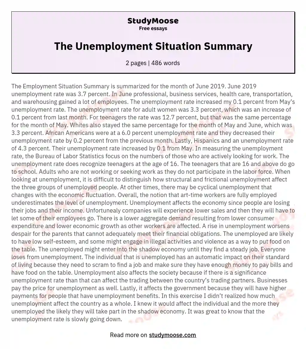 The Unemployment Situation Summary essay