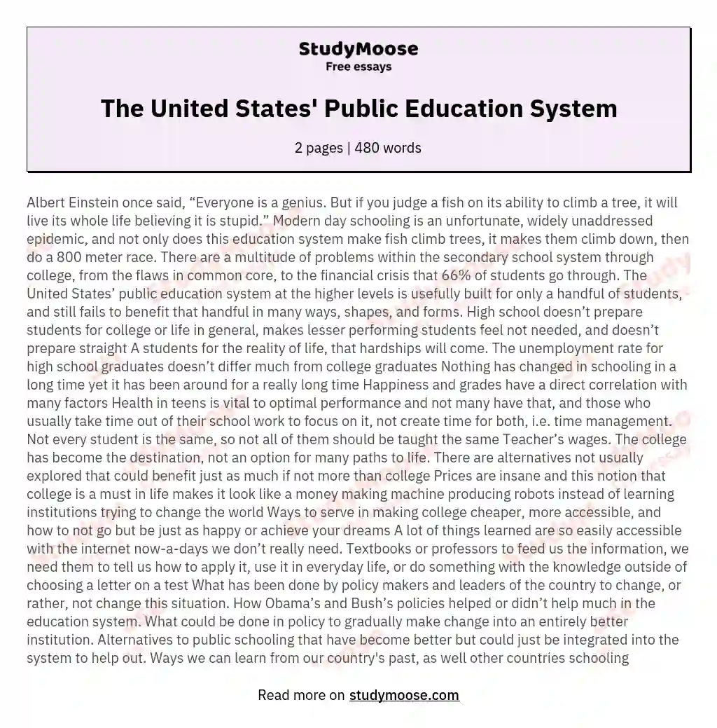 The United States' Public Education System essay