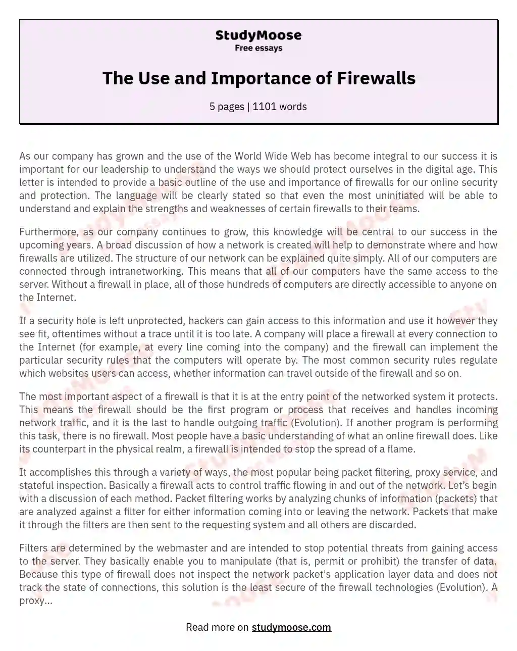 The Use and Importance of Firewalls essay