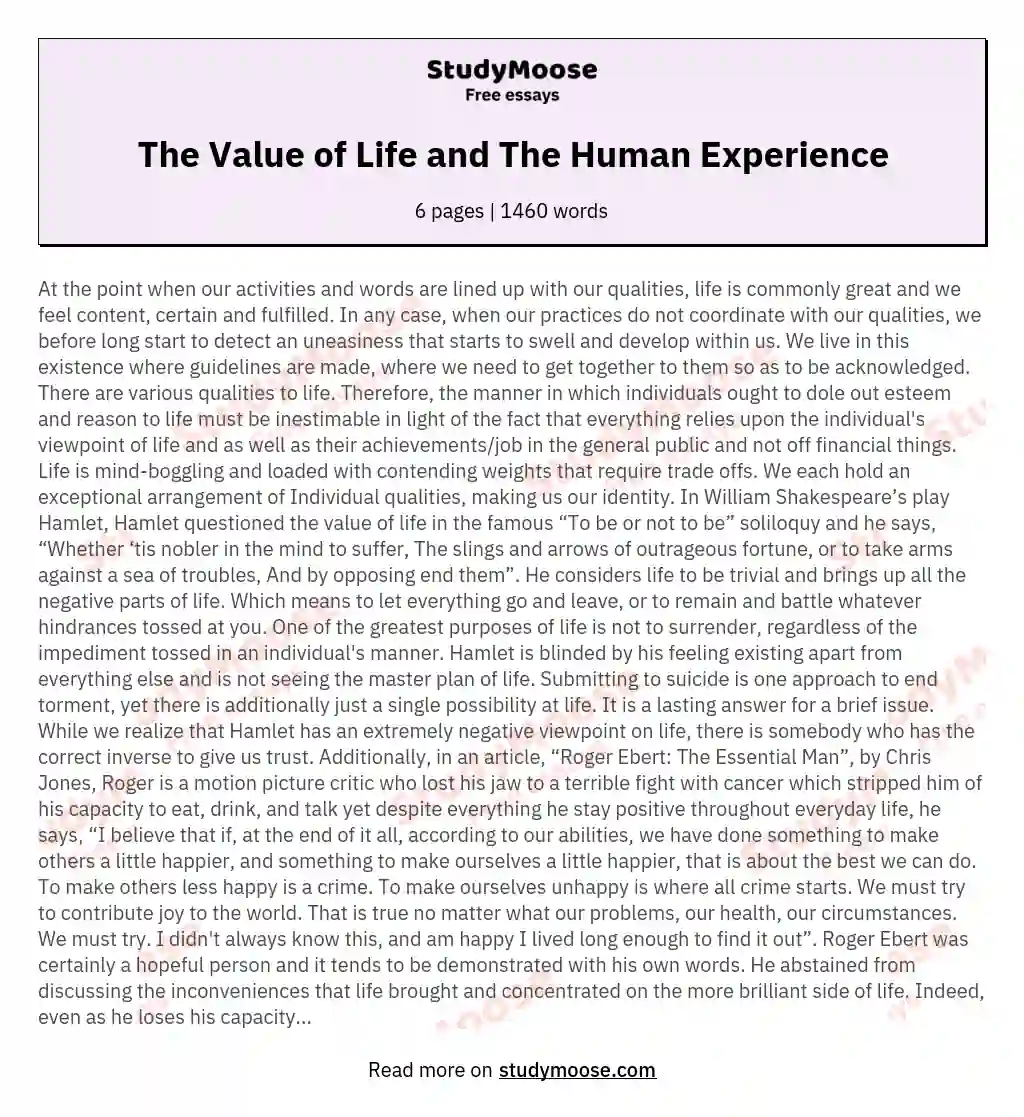 The Value of Life and The Human Experience essay
