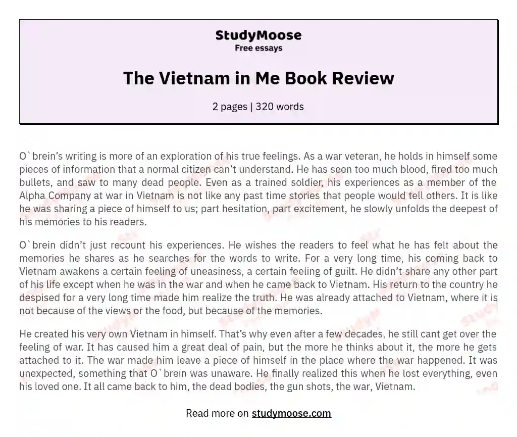 The Vietnam in Me Book Review essay