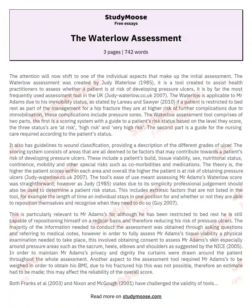 The Waterlow Assessment essay