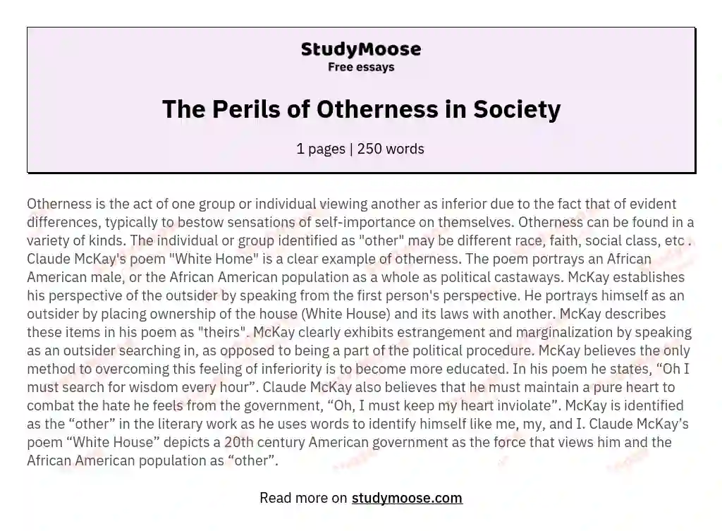 The Perils of Otherness in Society essay