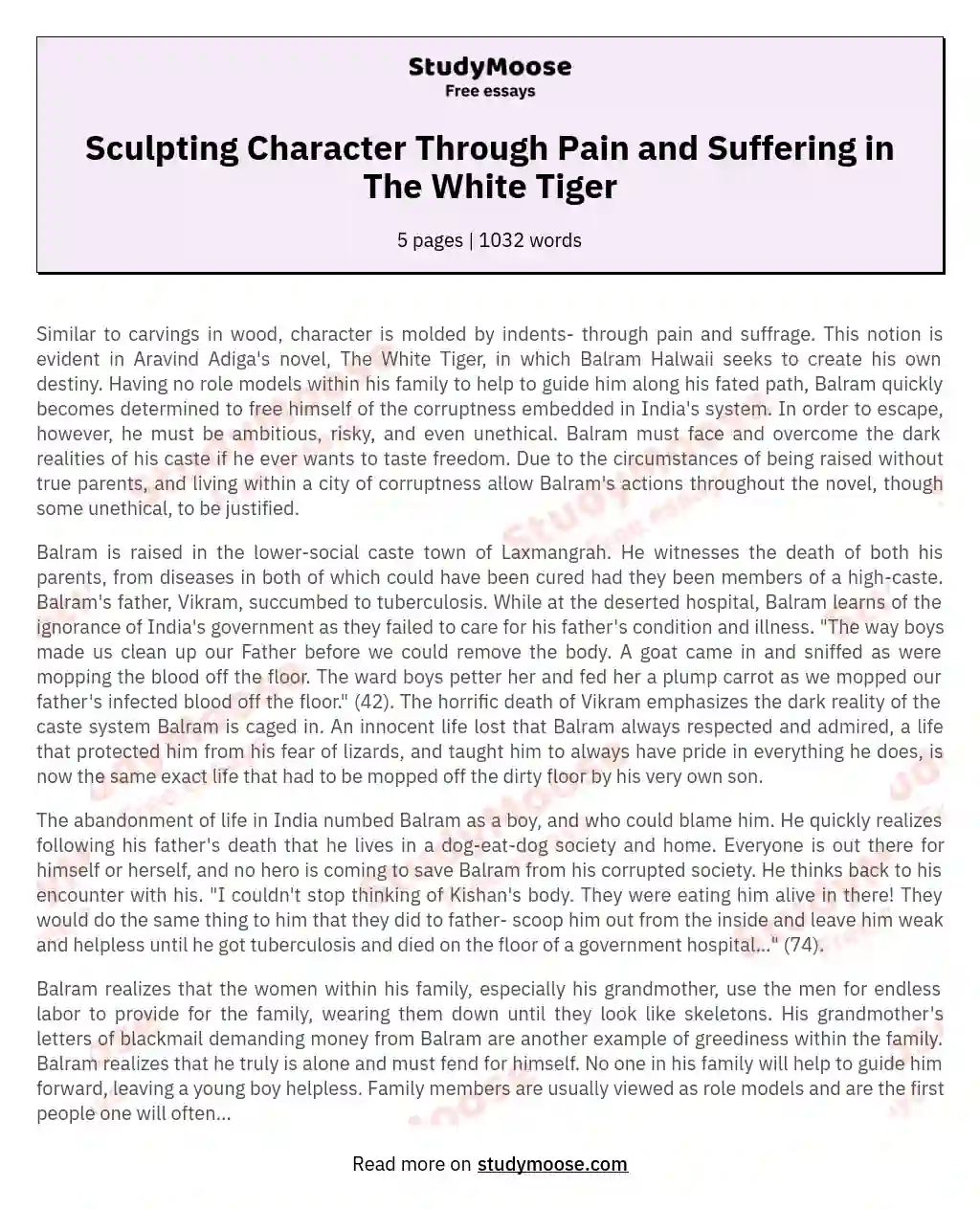 Sculpting Character Through Pain and Suffering in The White Tiger essay