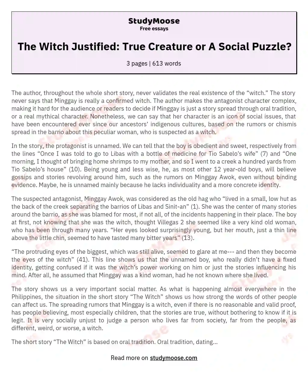 The Witch Justified: True Creature or A Social Puzzle? essay