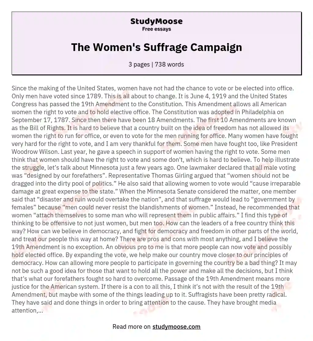 The Women's Suffrage Campaign essay