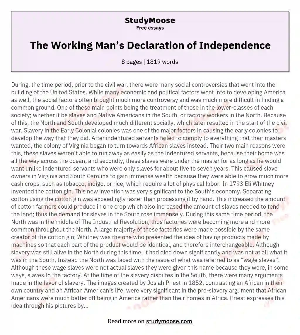 The Working Man’s Declaration of Independence essay