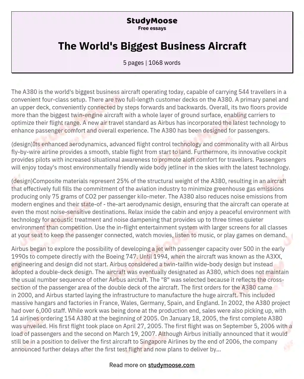 The World's Biggest Business Aircraft essay