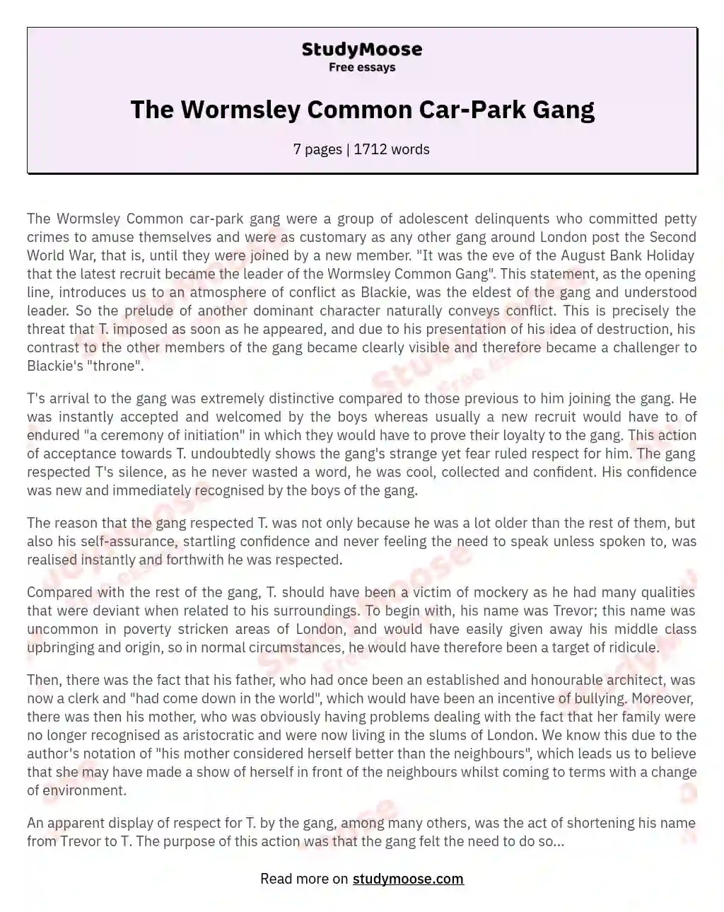 The Wormsley Common Car-Park Gang essay