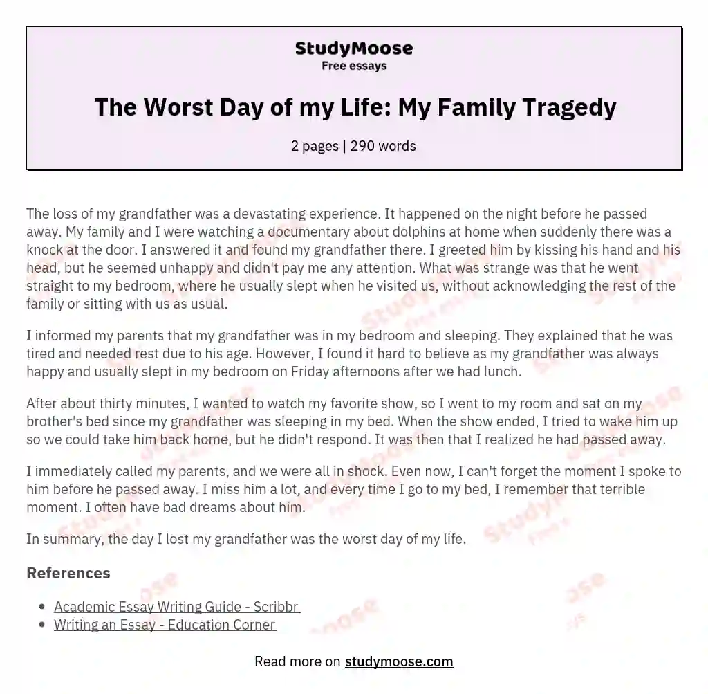 The Worst Day of my Life: My Family Tragedy essay