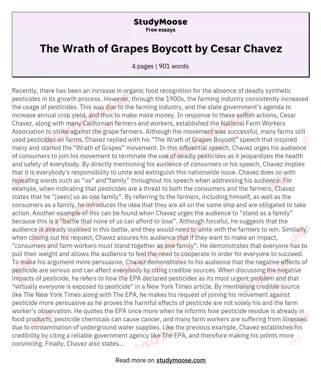 The Wrath of Grapes Boycott by Cesar Chavez essay