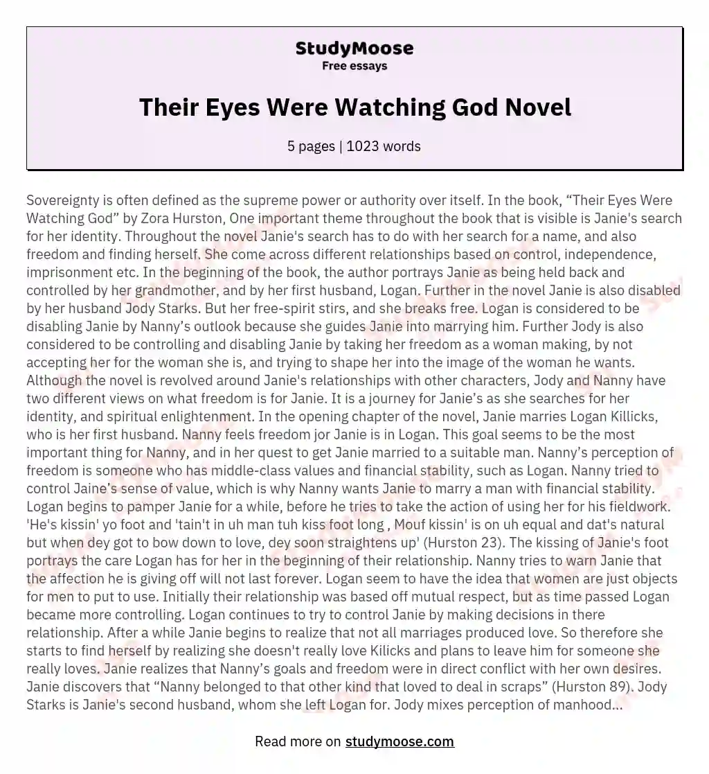 Their Eyes Were Watching God Novel