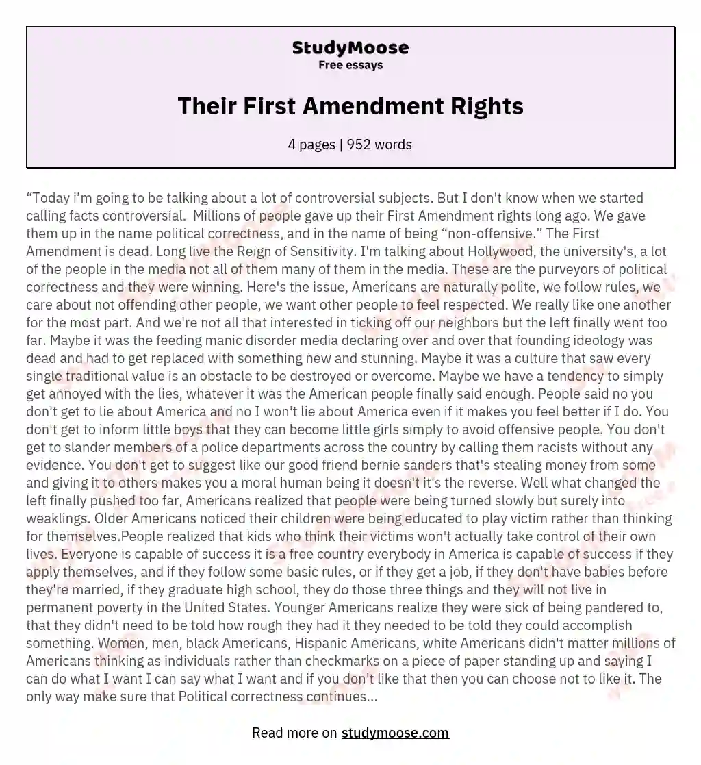 Their First Amendment Rights essay