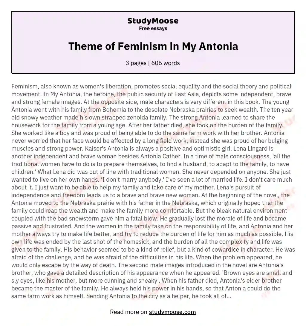 Theme of Feminism in My Antonia essay