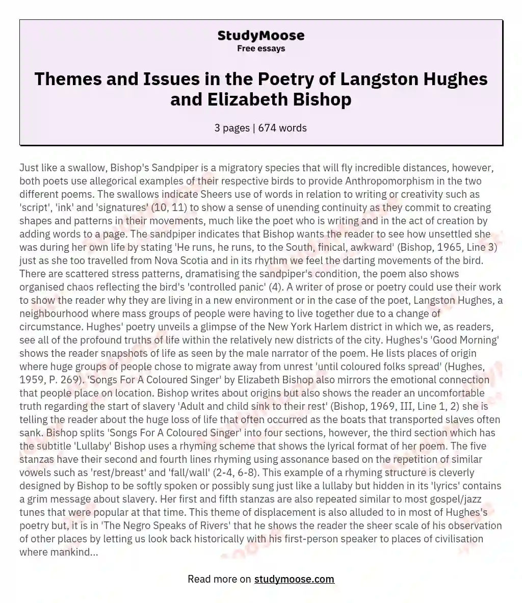 Themes and Issues in the Poetry of Langston Hughes and Elizabeth Bishop essay
