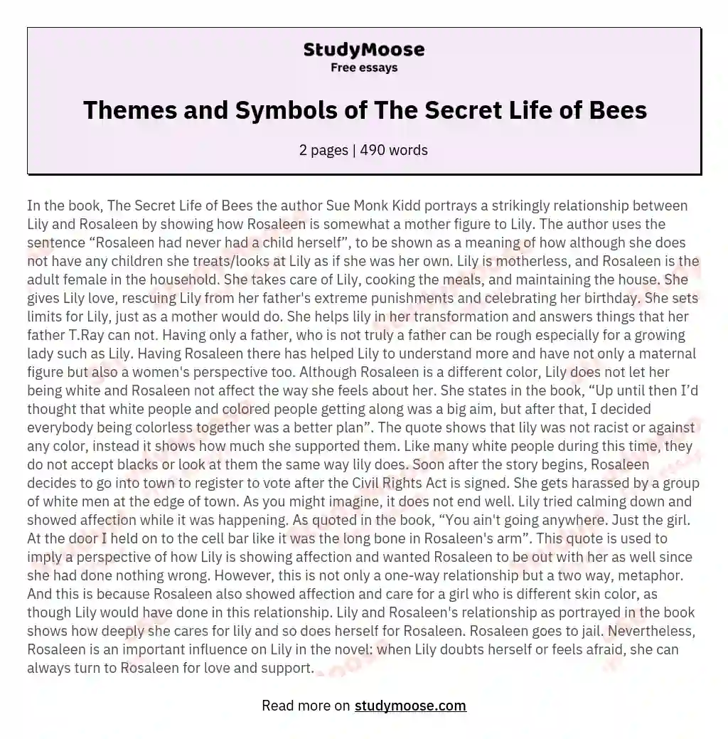 Themes and Symbols of The Secret Life of Bees