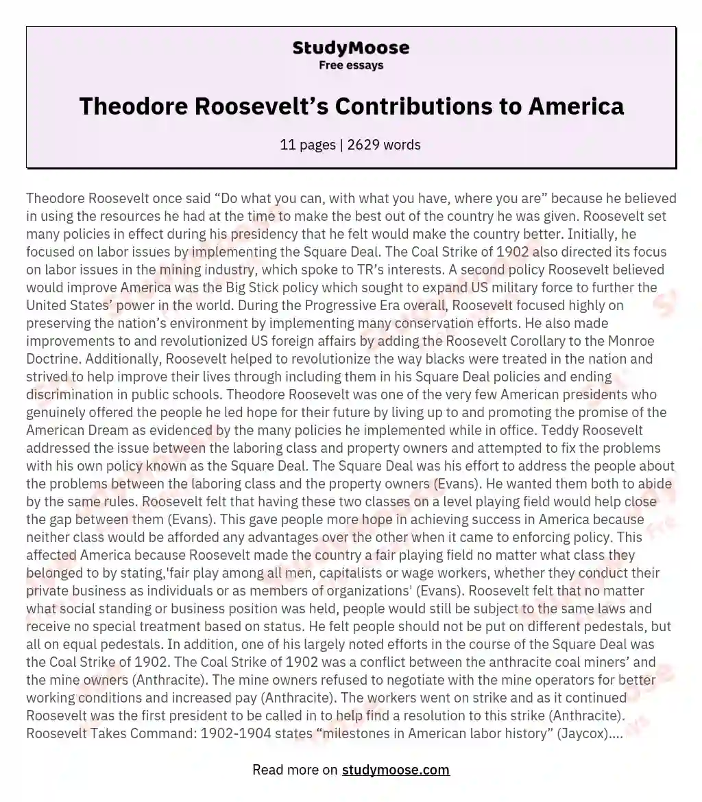 Theodore Roosevelt’s Contributions to America essay