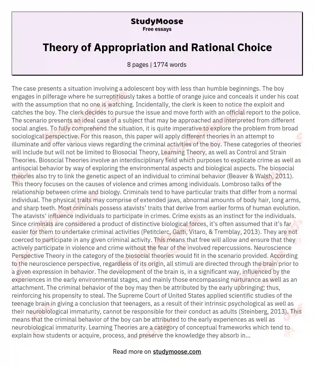 Theory of Appropriation and Rational Choice essay