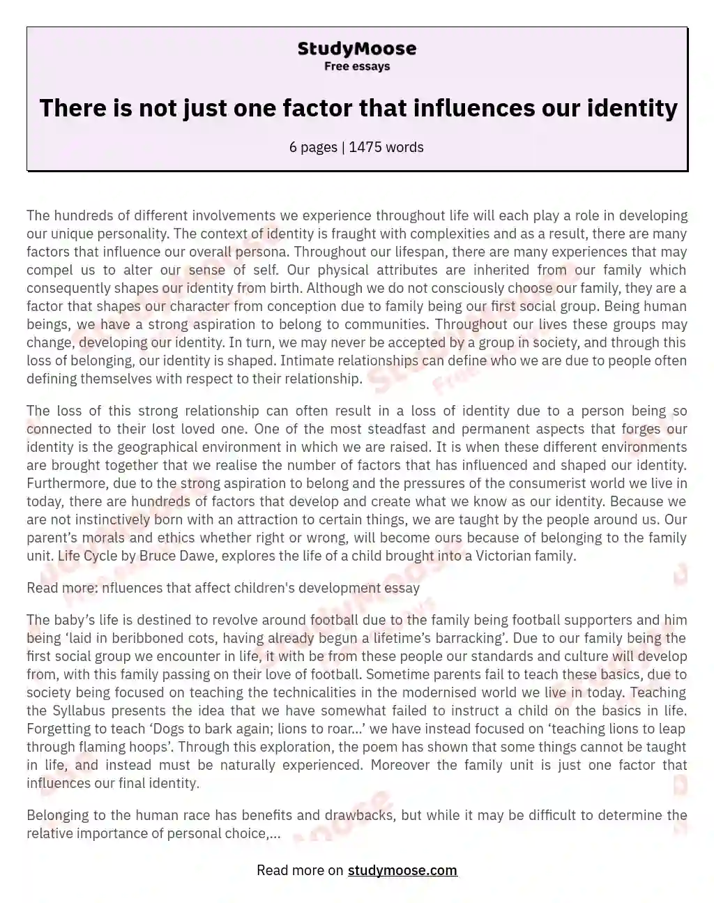 There is not just one factor that influences our identity essay