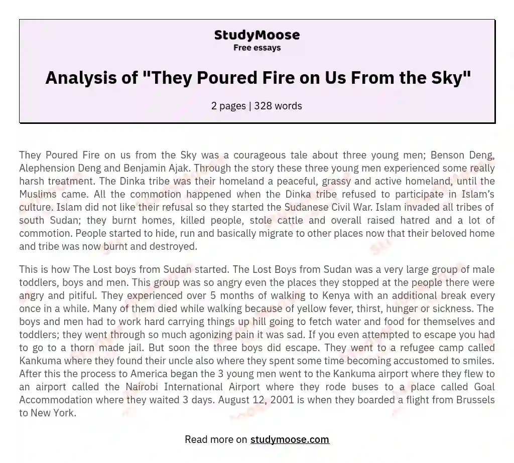 Analysis of "They Poured Fire on Us From the Sky" essay