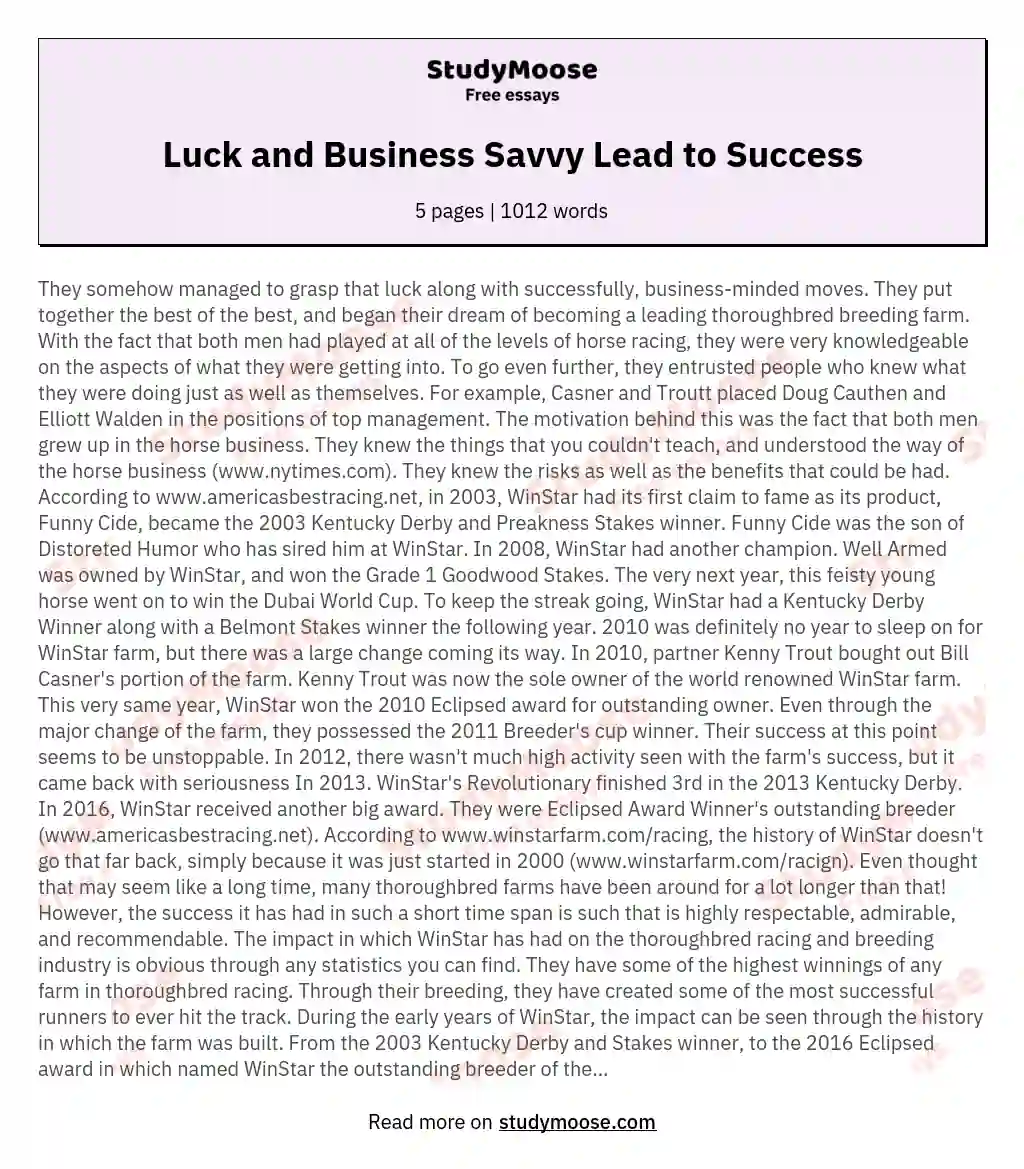 Luck and Business Savvy Lead to Success essay