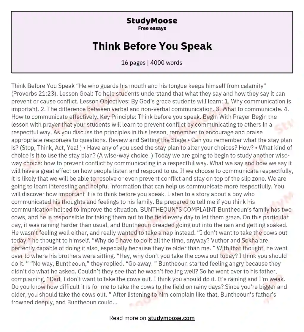 Think Before You Speak essay
