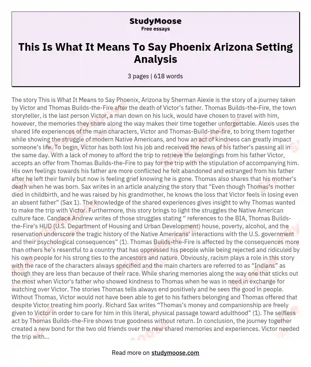 This Is What It Means To Say Phoenix Arizona Setting Analysis