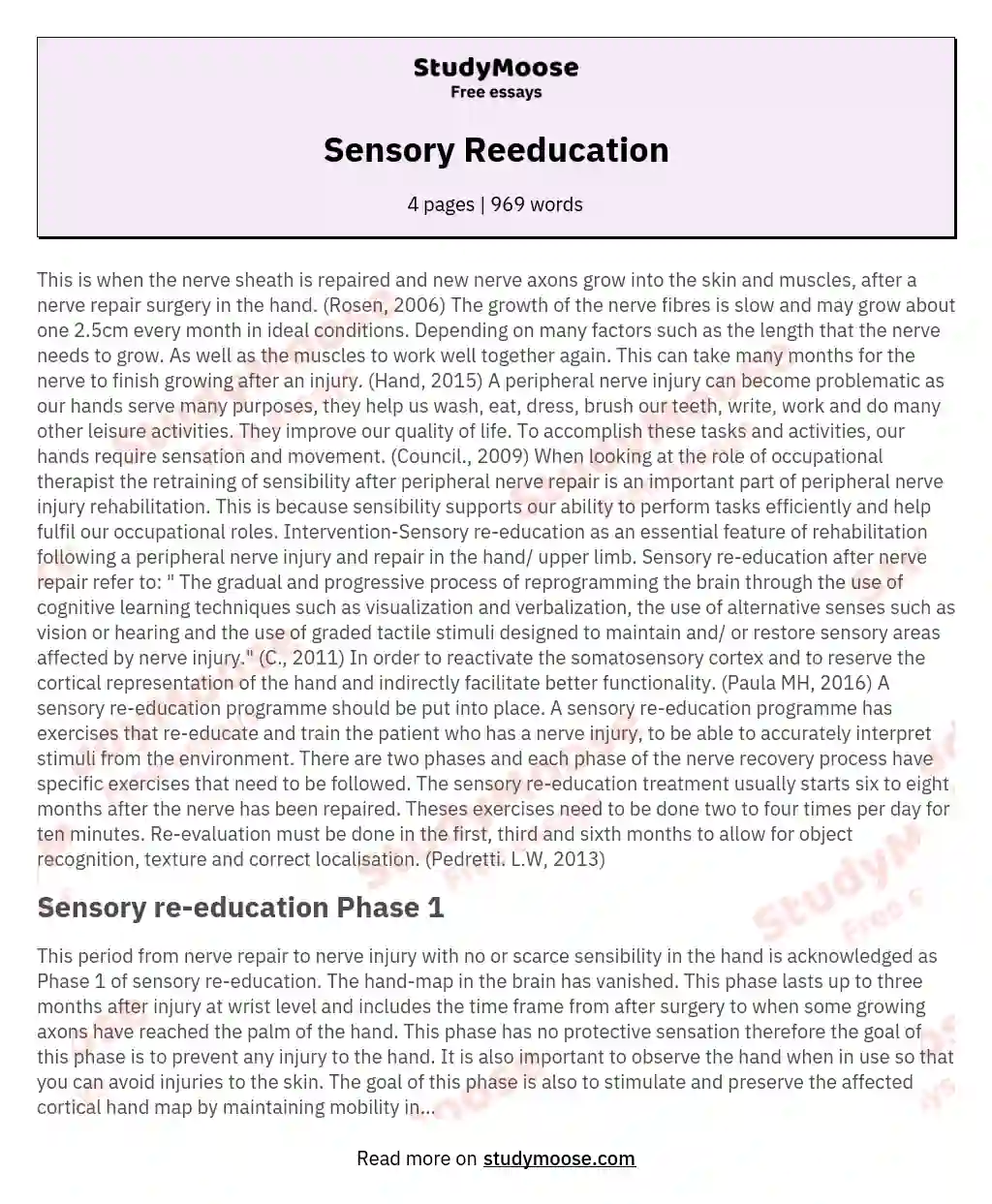 Sensory Reeducation essay