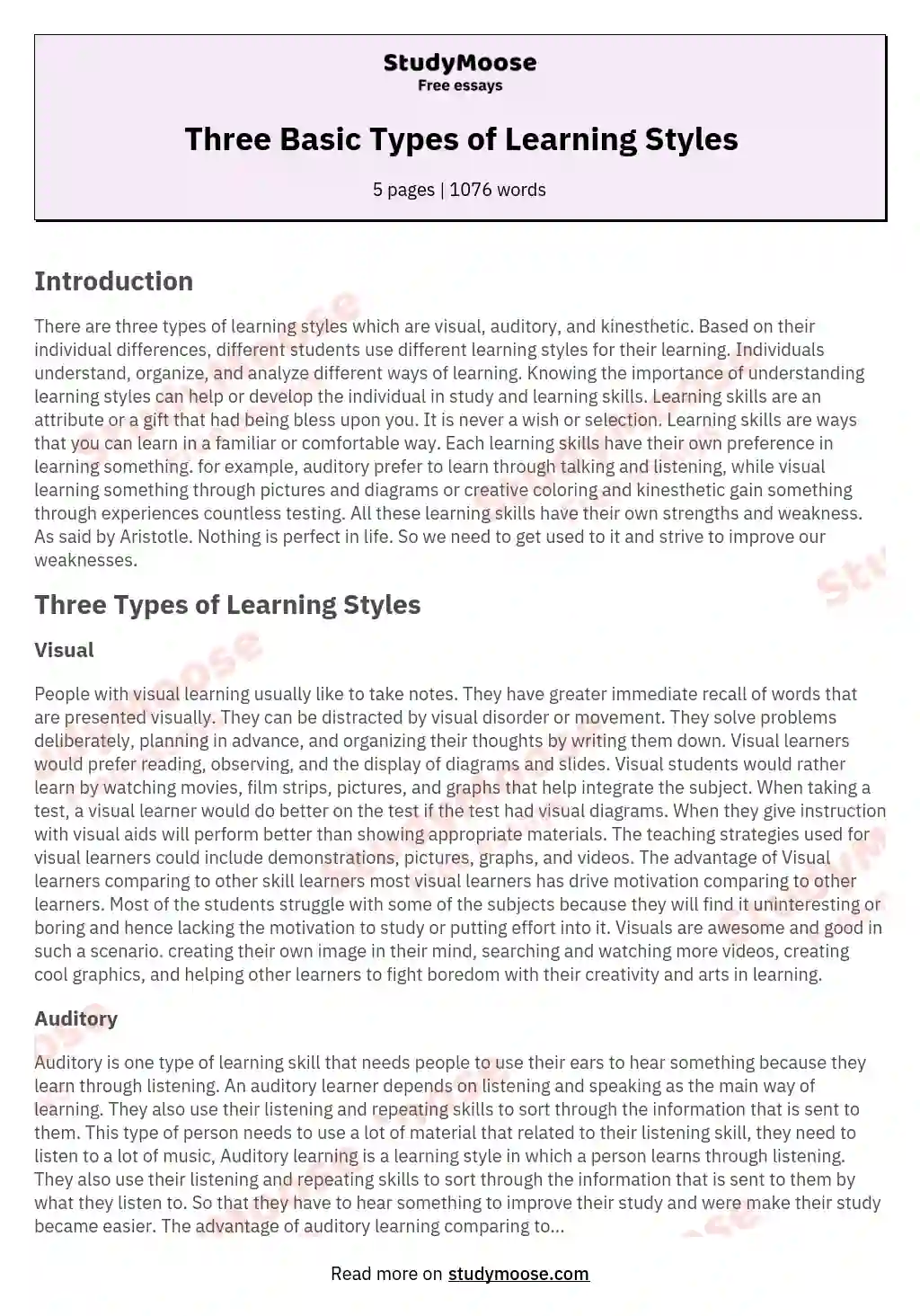 my learning style essay