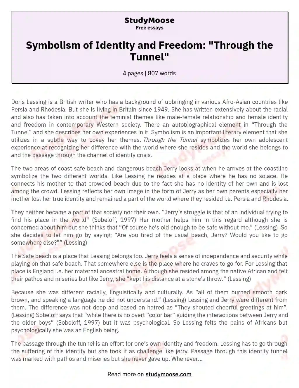 Symbolism of Identity and Freedom: "Through the Tunnel" essay