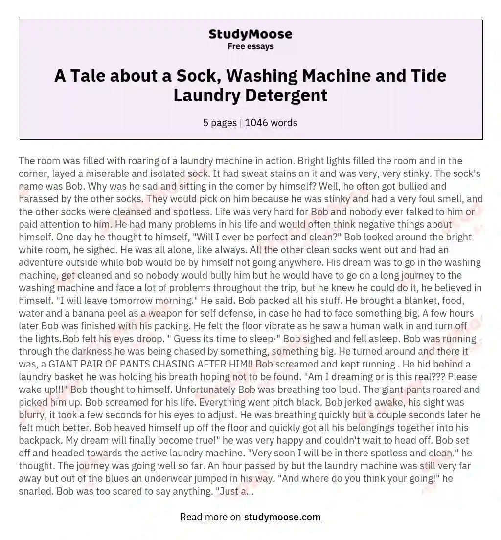 A Tale about a Sock, Washing Machine and Tide Laundry Detergent essay
