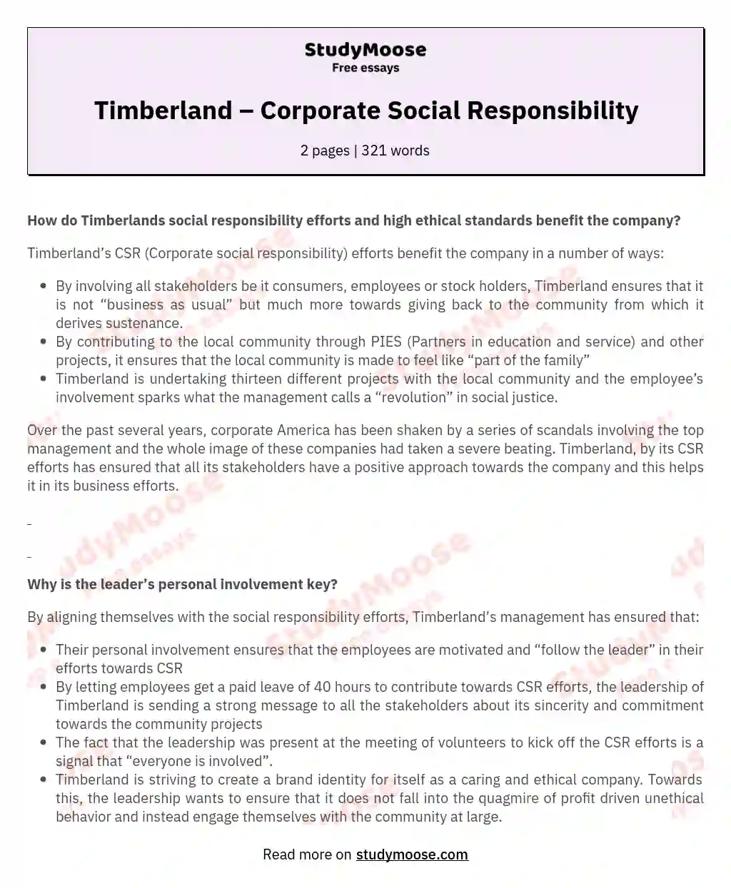 Timberland – Corporate Social Responsibility essay