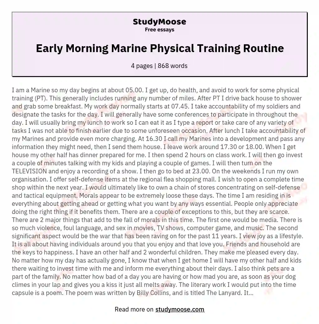 Early Morning Marine Physical Training Routine essay