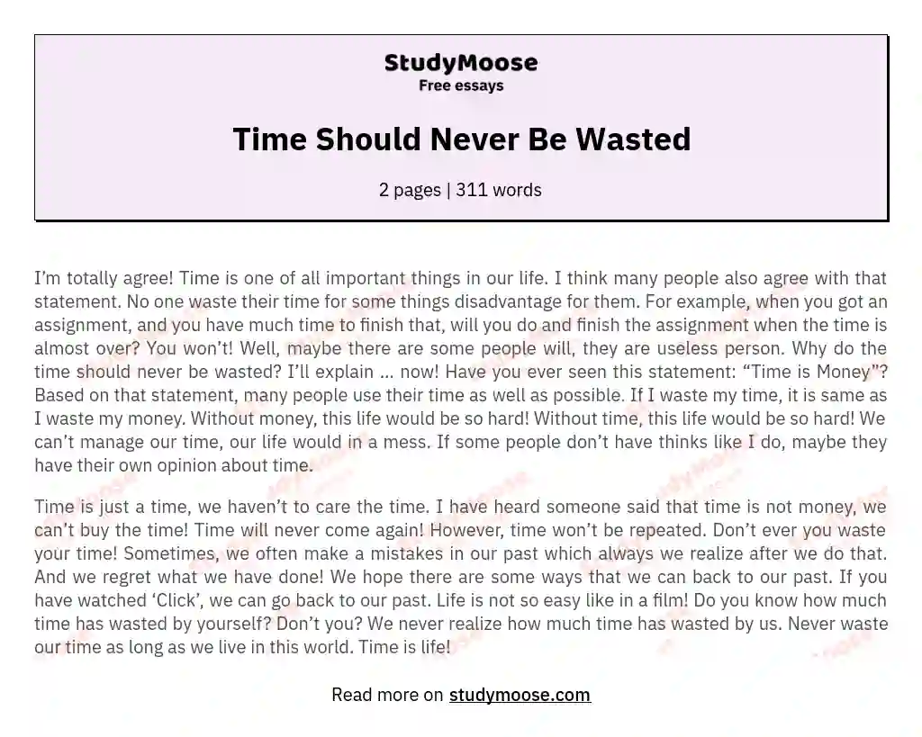 Time Should Never Be Wasted essay