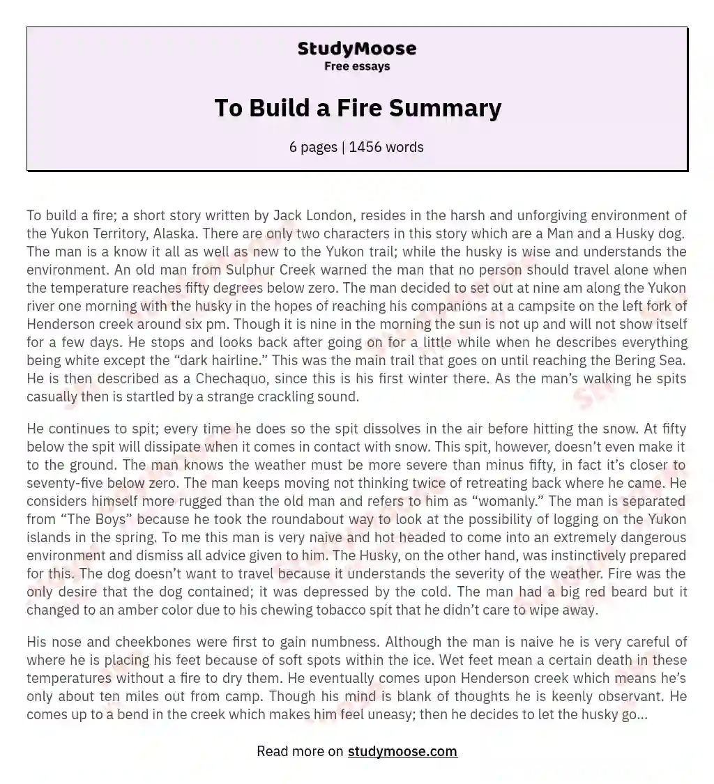 To Build a Fire Summary essay