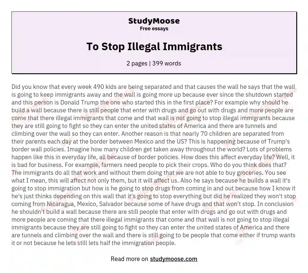 To Stop Illegal Immigrants essay