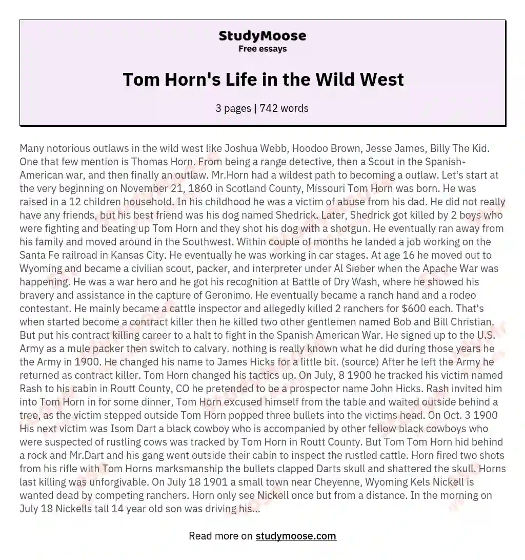 Tom Horn's Life in the Wild West essay