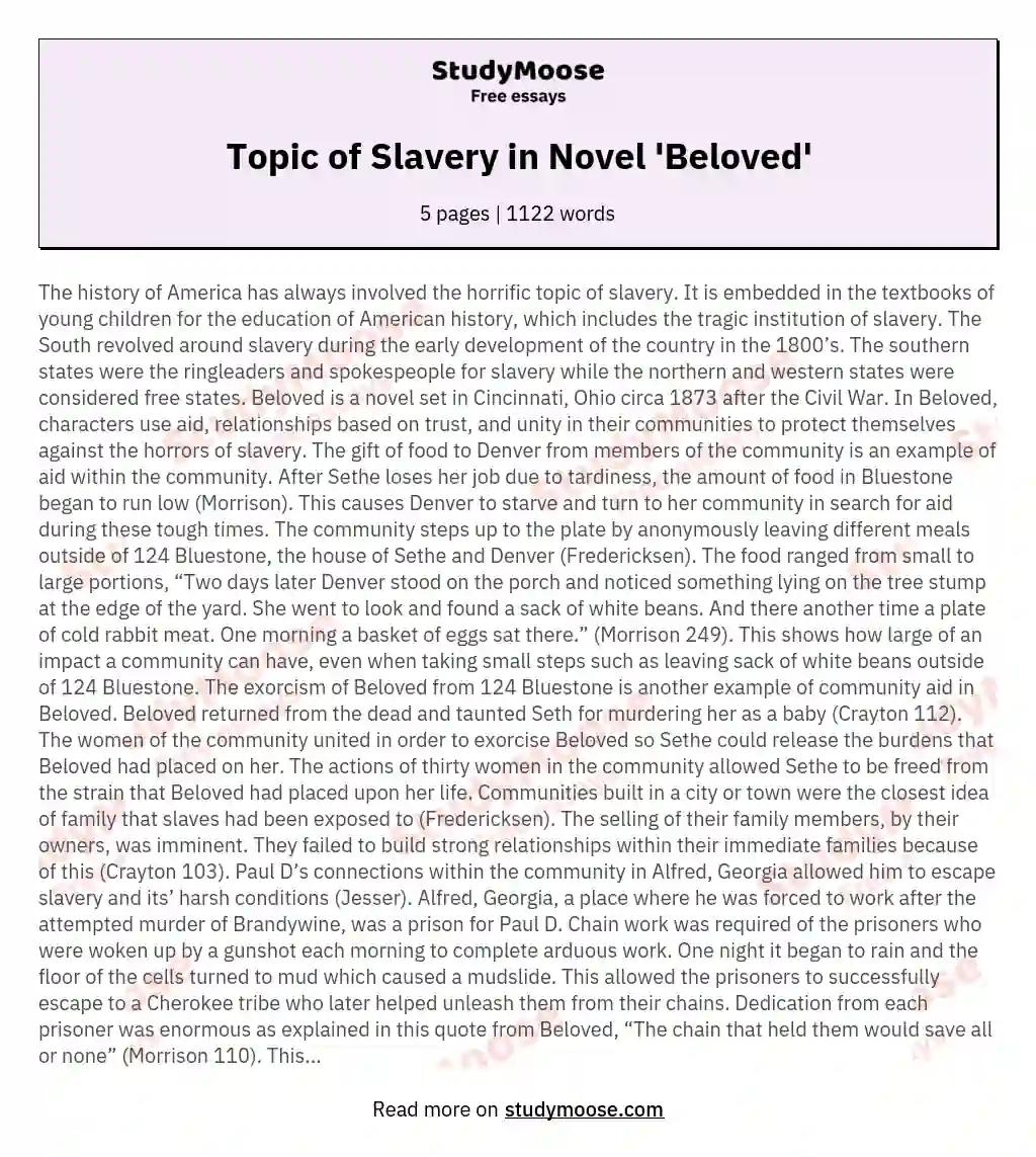 Topic of Slavery in Novel 'Beloved' essay