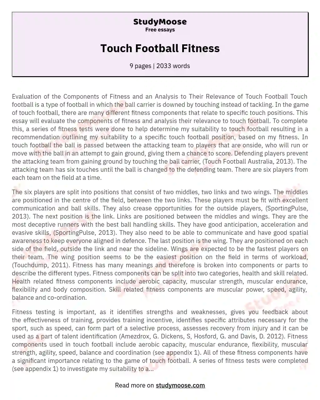 Touch Football Fitness essay