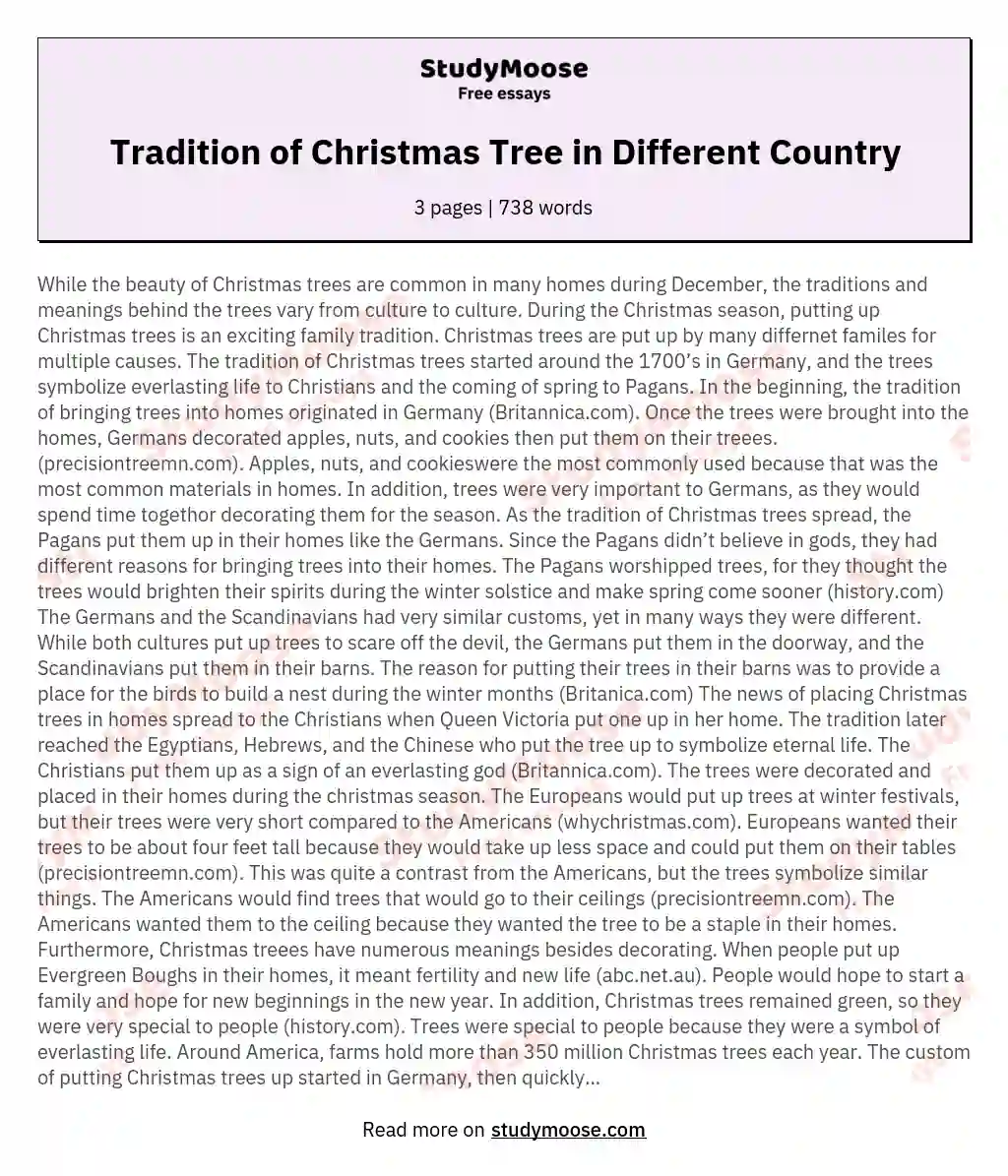 Tradition of Christmas Tree in Different Country essay