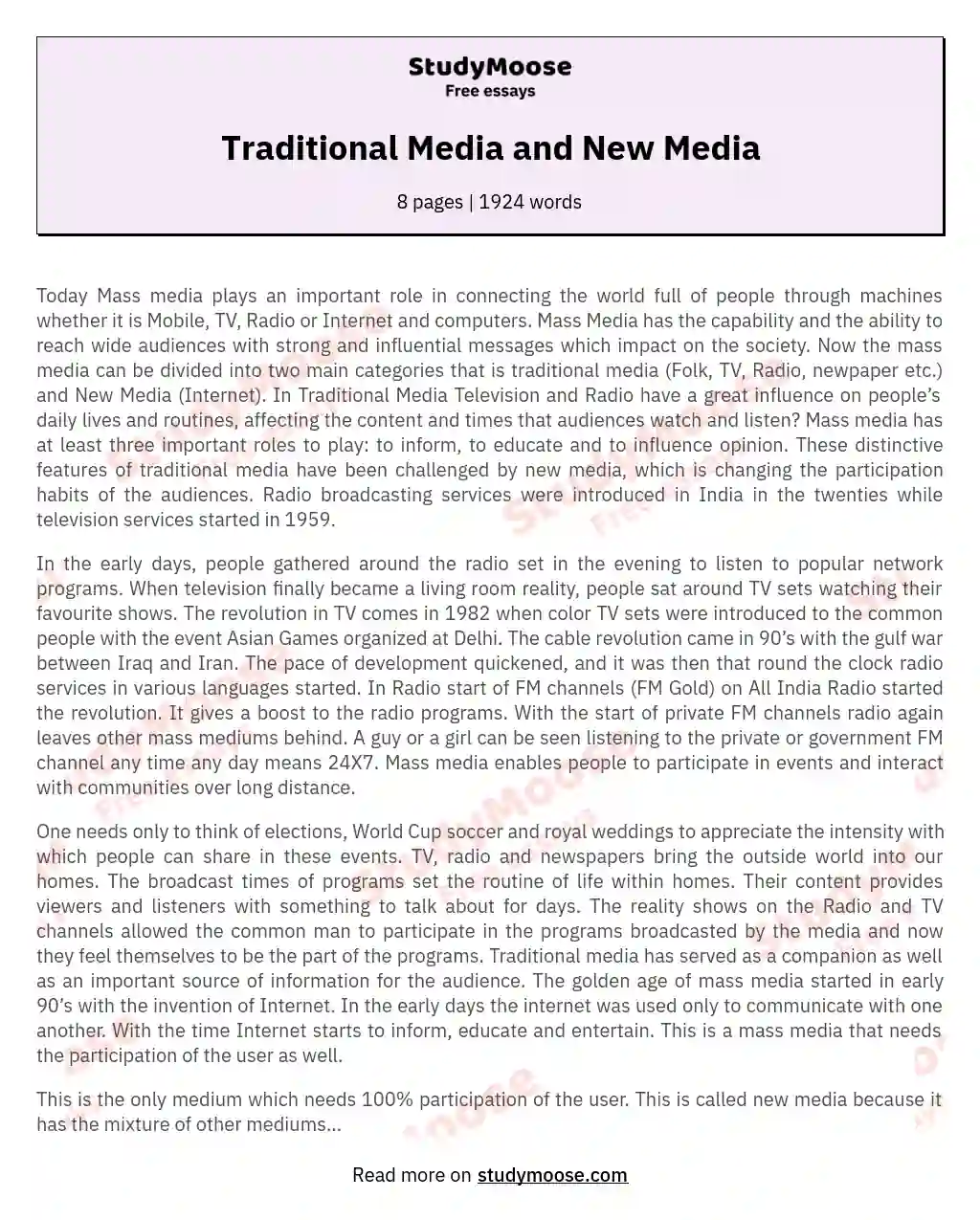 Traditional Media and New Media essay