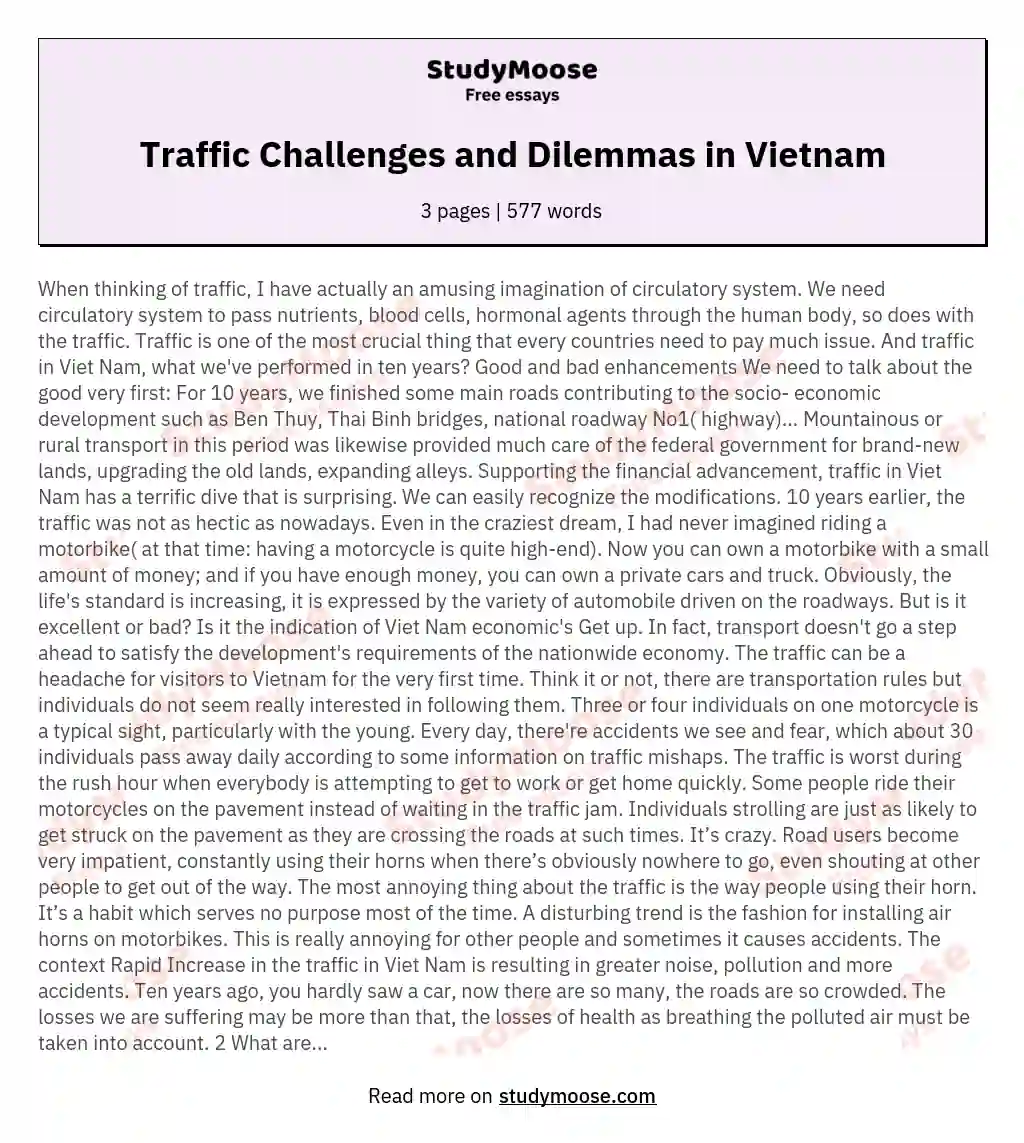 Traffic Challenges and Dilemmas in Vietnam essay
