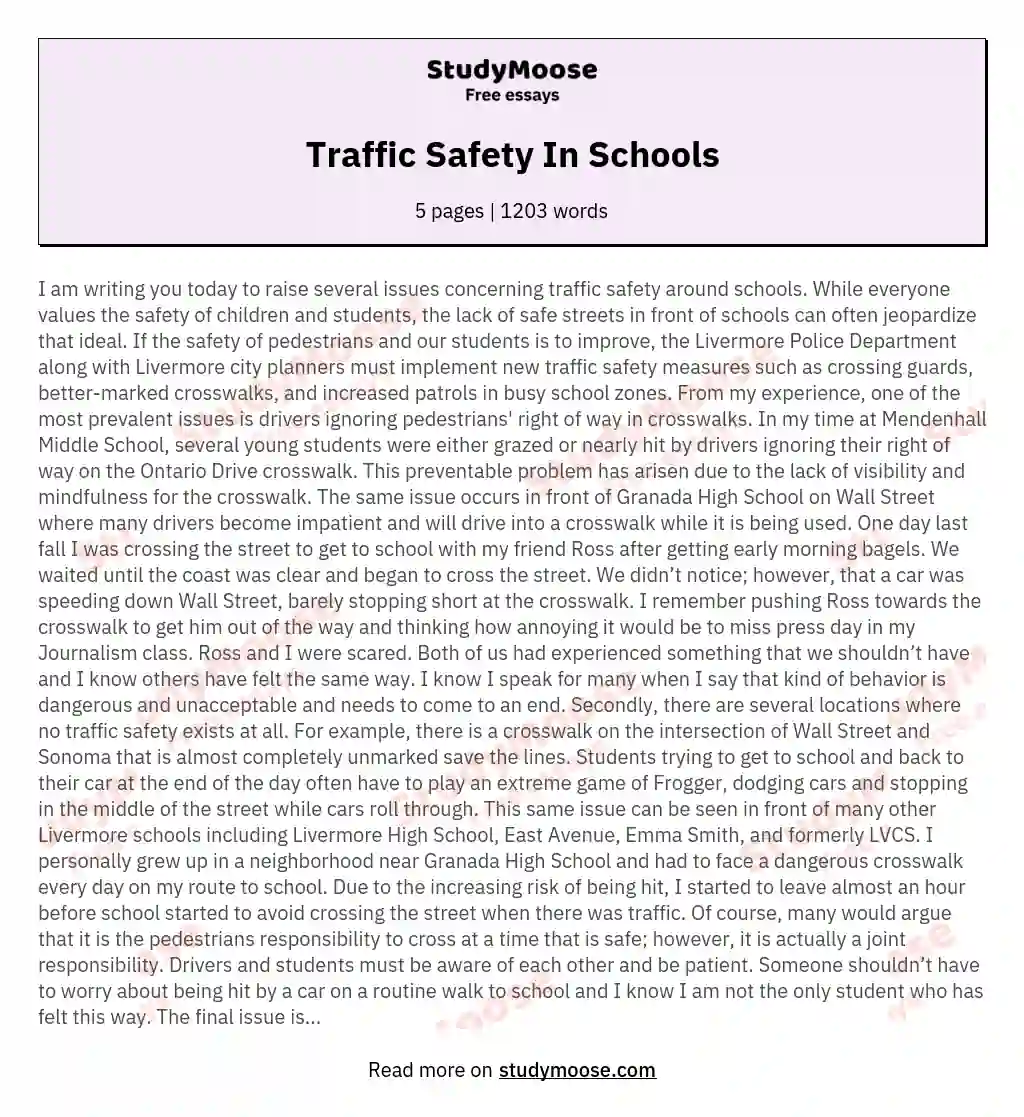 Traffic Safety In Schools essay