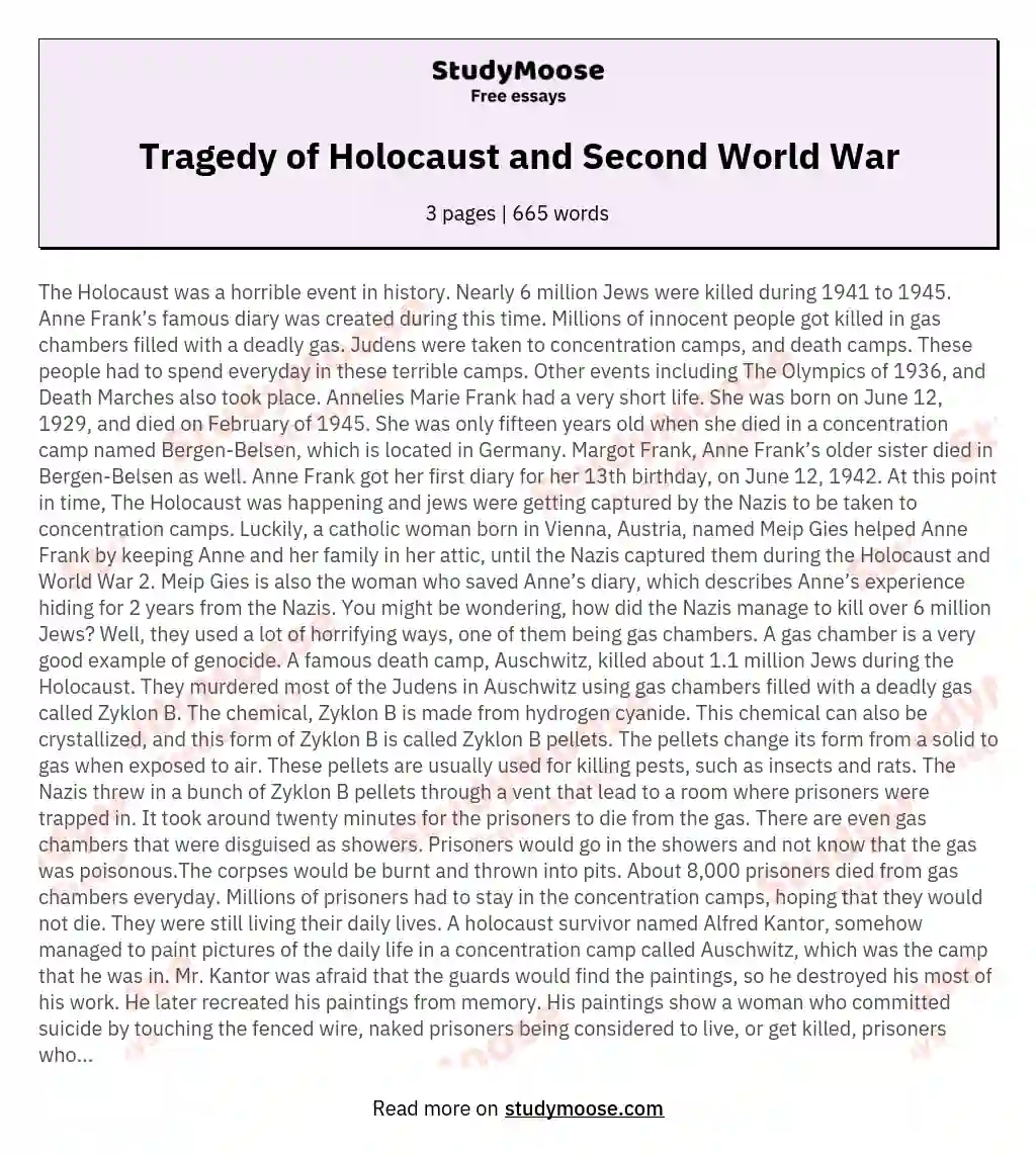 Tragedy of Holocaust and Second World War