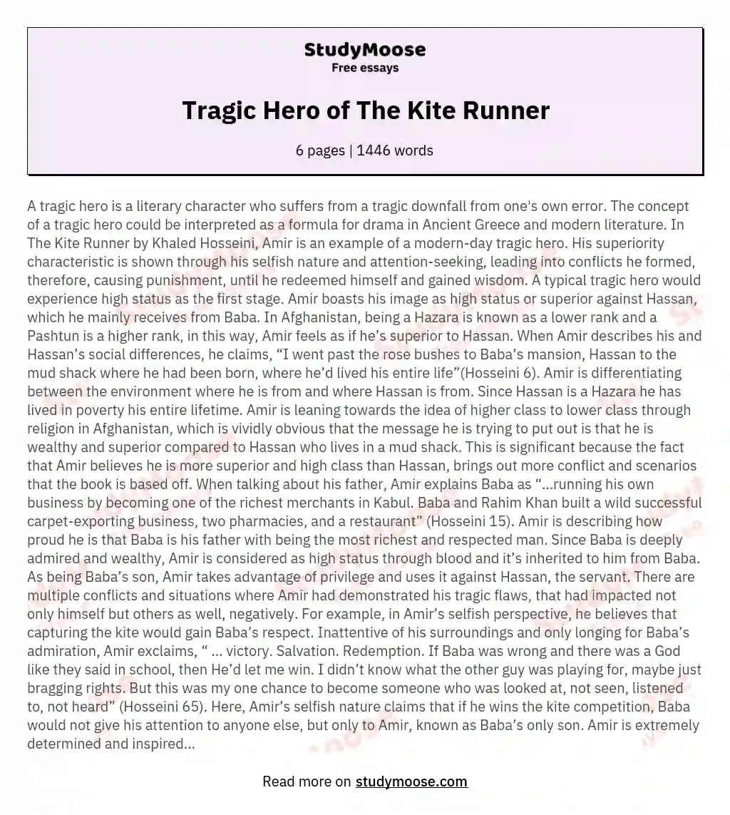 Tragic Hero of The Kite Runner essay
