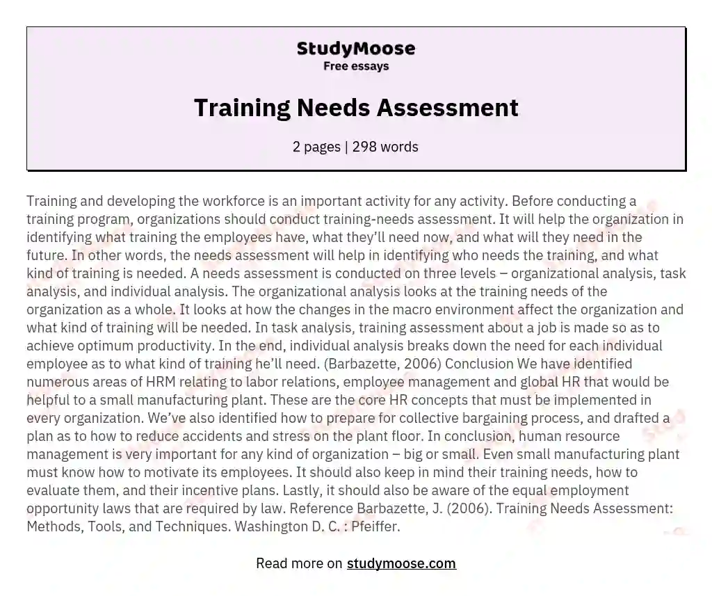 Training Needs Assessment essay