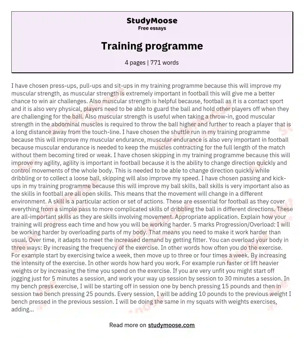 Training programme essay
