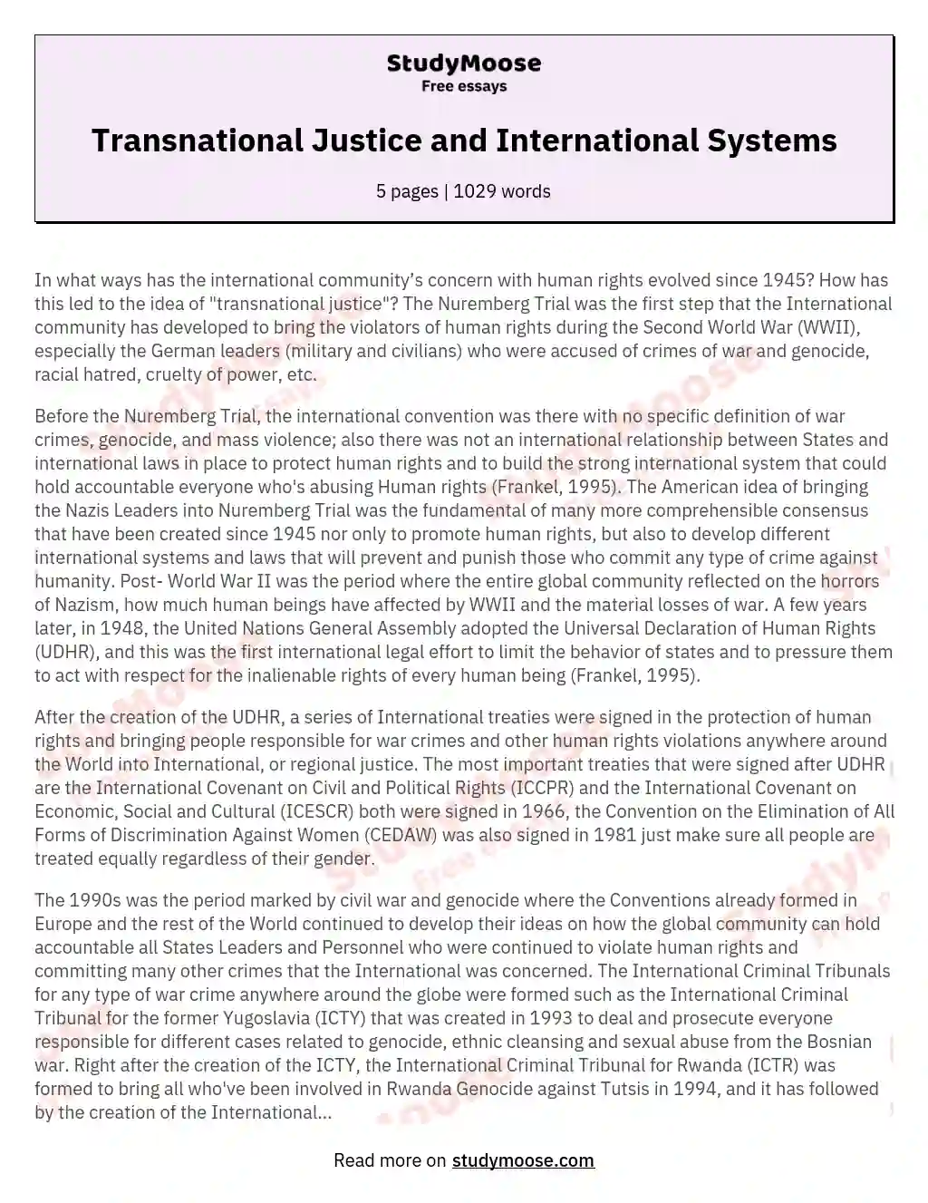 Transnational Justice and International Systems essay
