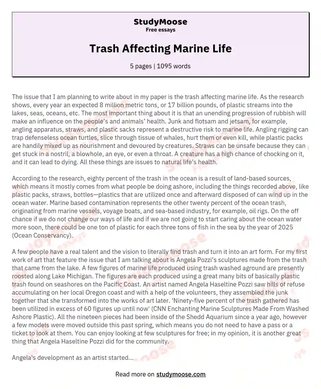Trash Affecting Marine Life essay