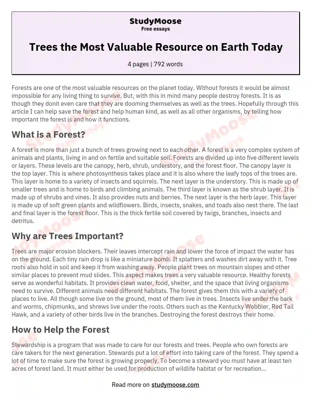 Trees the Most Valuable Resource on Earth Today essay